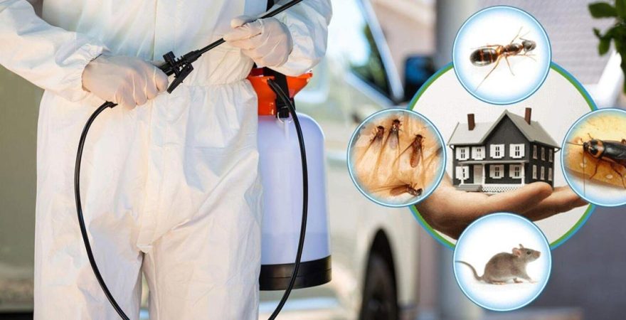 Divriği Böcek İlaçlama