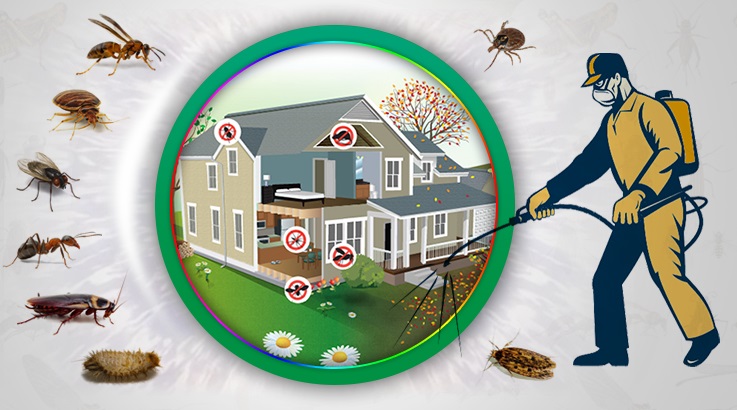 Divriği Böcek İlaçlama