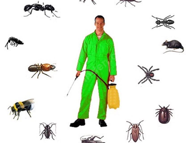 Divriği Böcek İlaçlama